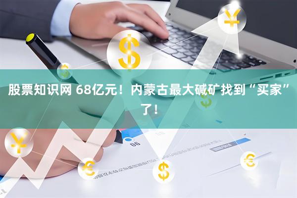 股票知识网 68亿元！内蒙古最大碱矿找到“买家”了！
